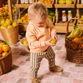 Z8 mini sweater Cosimo tutti frutti | maat 80 - 116