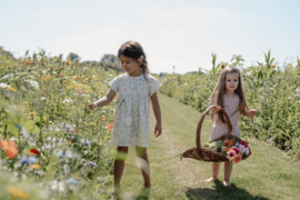Little Dutch jurkje korte mouw bloemetjes | maat 74 - 104