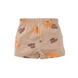 Z8 mini korte jogger Lazaro nougat | maat 80 - 116