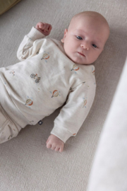 Feetje sweater Mini Adventurer | maat 74 - 86