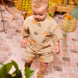 Z8 mini korte jogger Lazaro nougat | maat 80 - 116