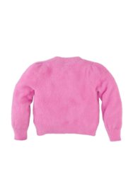 Z8 | Maggie Roze Gebreid Vest Pink Power