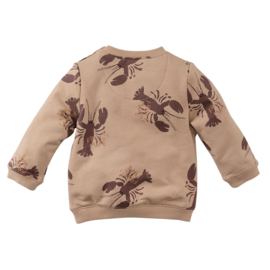 Z8 newborn sweater Franco nougat | maat 50 t/m 74