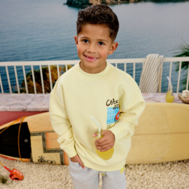 Z8 kids Xavi sweater silly citron | maat 92 t/m 140