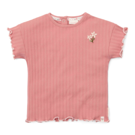 Little Dutch t-shirt korte mouw pink blush | maat 74 - 104