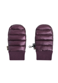 Daily Seven | Wanten | Huckleberry