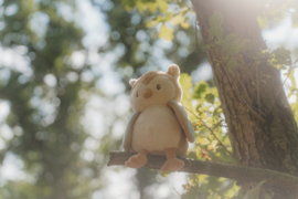 Little Dutch knuffel uiltje | 17 cm