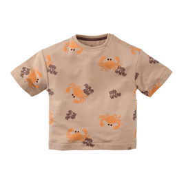 Z8 mini sweater met korte mouwen Lauro nougat | maat 80 - 116