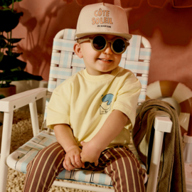 Z8 mini pet Ravi  | diverse maten