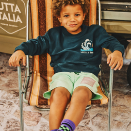 Z8 kids sokken Emilio gritty grapes | maat 23 - 38