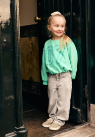 Daily Seven | Wide Fit Jeans | Grijs