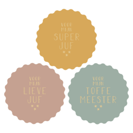 Stickers met goudfolie tekst voor juf en meester | 9 stuks