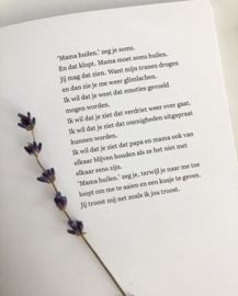 Nieuw leven - Lois Kruidenier