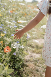 Little Dutch jurkje korte mouw bloemetjes | maat 74 - 104