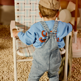 Z8 mini sweater Gies | maat 80  t/m 116