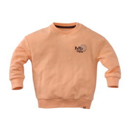 Z8 mini sweater Cosimo tutti frutti | maat 80 - 116
