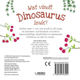 Voelboekje | Wat vindt dino leuk?