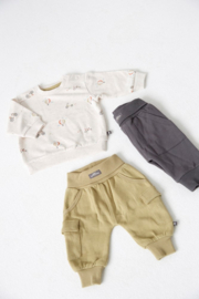 Feetje sweater Mini Adventurer | maat 74 - 86