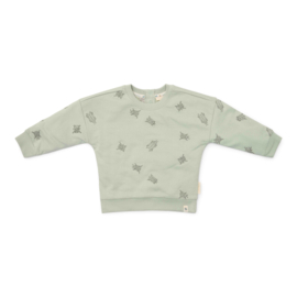 Little Dutch sweater forest mint bugs | maat 74 - 104