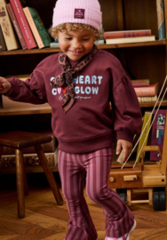 Z8 mini | Willow Flared Pants Berry Brave