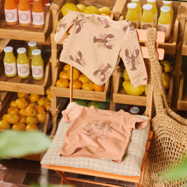 Z8 newborn shirt met korte mouwen Givano amaretti | maat 50 t/m 74