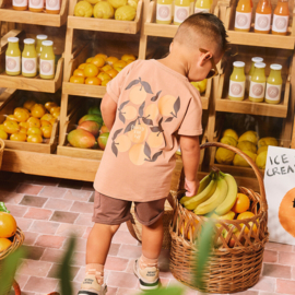 Z8 mini korte broek Gianney crazy coconut | maat 80 - 116