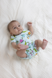 Feetje premium pyjama zomer Femmy Fruit - maat 68 t/m 122