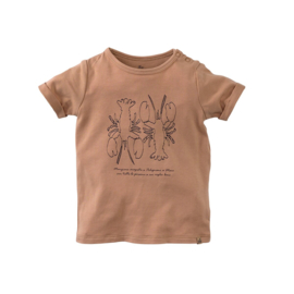 Z8 newborn shirt met korte mouwen Givano amaretti | maat 50 t/m 74