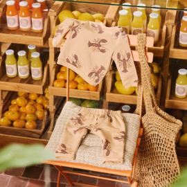 Z8 newborn sweater Franco nougat | maat 50 t/m 74