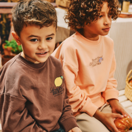 Z8 kids sweater Adrean peach fuzz | maat 92 - 152