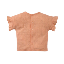 Z8 mini broderie top Maxie tutti frutti | maat 80 - 116