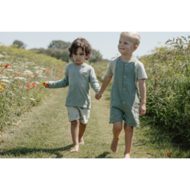 Little Dutch korte broek forest mint bugs | maat 74 - 104