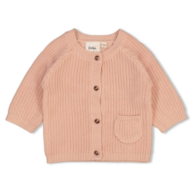 Feetje gebreid vestje roze | maat 56 - 74