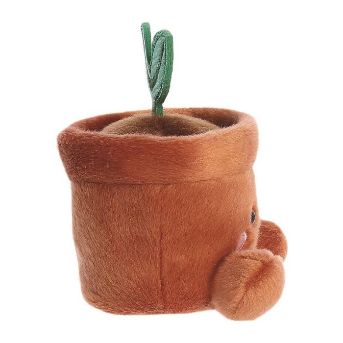 Palm Pals plantje  | 13 cm