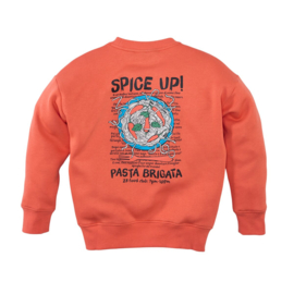 Z8 kids sweater Tino sunny sunset | maat 92 - 152