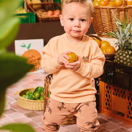 Z8 mini sweater Cosimo tutti frutti | maat 80 - 116