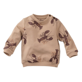Z8 newborn sweater Franco nougat | maat 50 t/m 74