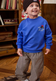Z8 mini | Vinz Sweater Electric Blue