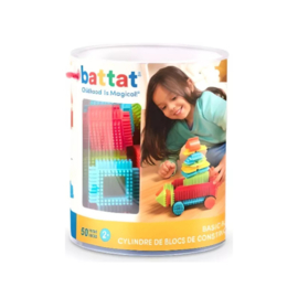 Bristle Blocks | 50 stuks in ton