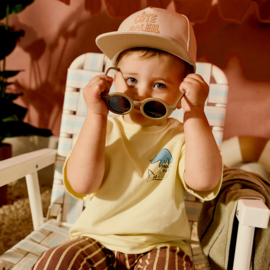 Z8 mini pet Ravi  | diverse maten