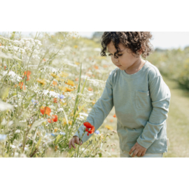Little Dutch t-shirt lange mouw forest green | maat 74 - 104
