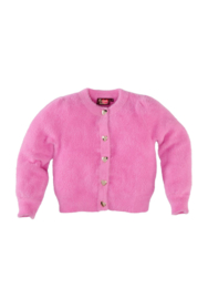 Z8 | Maggie Roze Gebreid Vest Pink Power