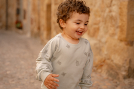 Little Dutch sweater forest mint bugs | maat 74 - 104