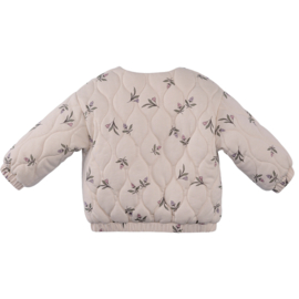 Z8 baby zomerjasje Duha cotton cloud | maat 50 t/m 74