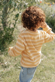 Little Dutch sweater streep yellow | maat 74 - 104