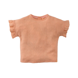 Z8 mini broderie top Maxie tutti frutti | maat 80 - 116