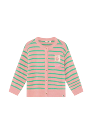 Daily Seven | Cardigan Gestreept | Lilas