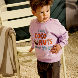 Z8 mini sweater Gabriël | maat 80  t/m 116