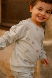 Little Dutch sweater forest mint bugs | maat 74 - 104