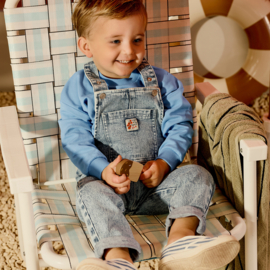 Z8 mini sweater Gies | maat 80  t/m 116